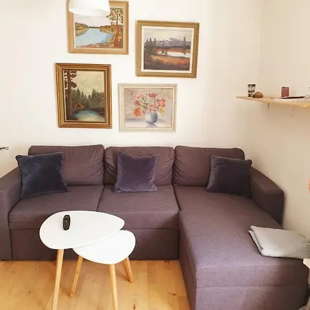 Charming And Spacious In Appartement *
