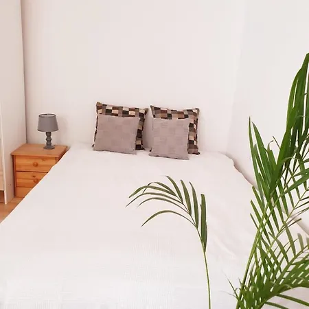 Appartement Charming And Spacious In *